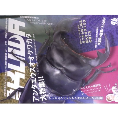 画像1: 新刊！BEKUWA 96号 （送料無料はネコポスのみ）