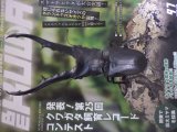 画像: 新刊!BEKUWA 97号 (送料無料はネコポスのみ)